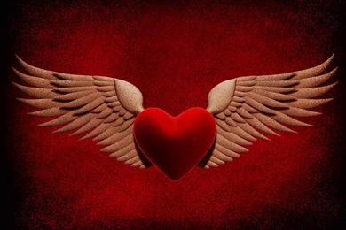 Heart Wings HD Wallpapers
