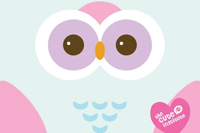 Cute Owl Wallpapers 1080p