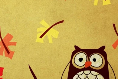 Sports Owl Cute Owl Wallpapers