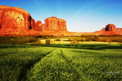 Hd Wallpapers Of Nature Wallpapers   38111