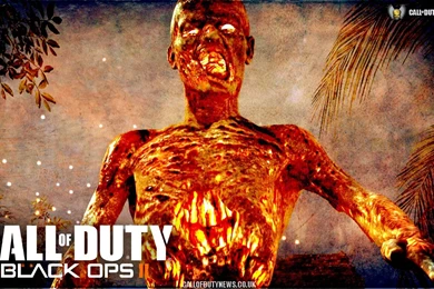 Jestingstock.com Black Ops 2 Zombies Wallpapers