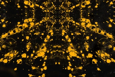 Foals   Bad Habit (Alex Metric Remix)   YouTube