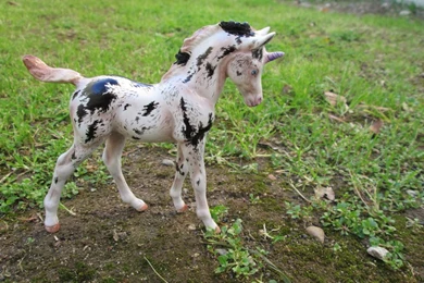 Unicorn Foal By Hoshi Gaki On DeviantArt