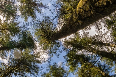 94 Triple Monitor Wallpapers 5040x1080 5760x1200   Album On Imgur