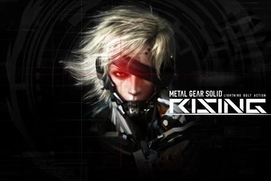 Download The Metal Gear Rising Wallpaper, Metal Gear Rising iPhone ...