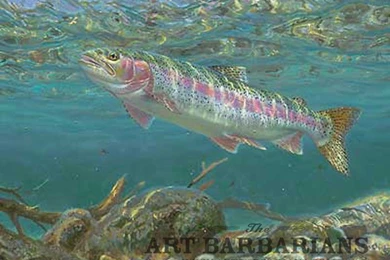 Rainbow trout art wallpaper 21.jpg