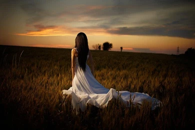 FOLLOW YOUR DREAMS WALLPAPER   (