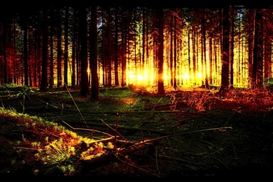 Is This A Dreams >> HD Wallpaper, Get It Now!