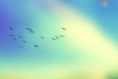 View Of Dreams HD Desktop Wallpapers : Widescreen : High Definition ...