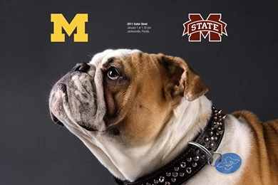 Michigan Football Fan Art   The Art. The Art. The Art!