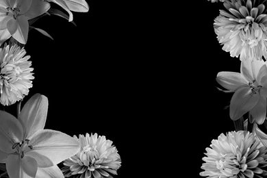 Wallpapers Black And White   Desktop Backgrounds