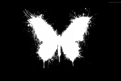 Black And White Backgrounds Awesome 646 NextFinish.com