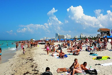 Pictures Of Miami Beach Florida   Widescreen HD Wallpapers