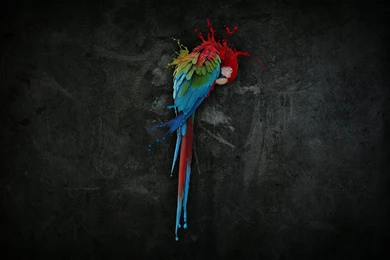 Digital Artwork Wallpaper Free Downloads.jpg