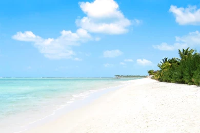 Florida Gulf Coast Beaches HD Wallpapers