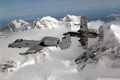 A 10 Warthogs Computer Wallpapers, Desktop Backgrounds