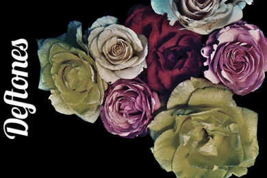 Browsing Wallpapers On DeviantArt