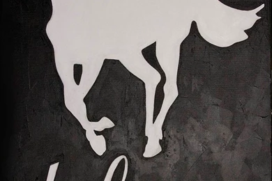 Deftones Wallpapers White Pony 18609