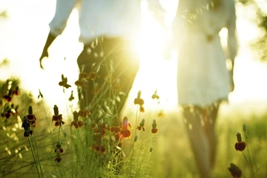 1920x1200 Lovers Sunlight Wallpapers