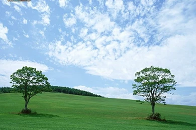 Perfect Farm Scene Wallpapers   Vast Country Farm Under Blue Sky17 ...