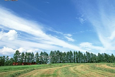 Beautiful Country Scenes