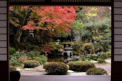 Traditional Japanese Garden HD Desktop Wallpapers : High Definition ...