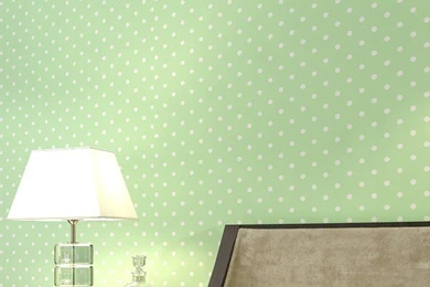 Hous Picture   More Detailed Picture About Modern Simple Polka ...