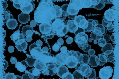 Blue On Black Paint Splatter Wallpapers By Chelseam2 On DeviantArt