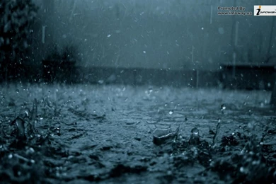 Winter Hd Images   Photo 19 Of 331