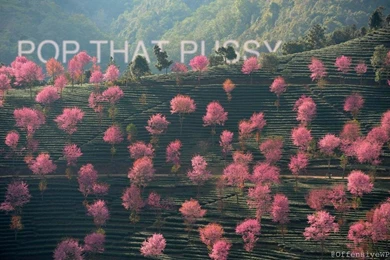 Demotivational Wallpapers   Album On Imgur