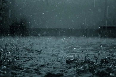 Funny Desktop Backgrounds