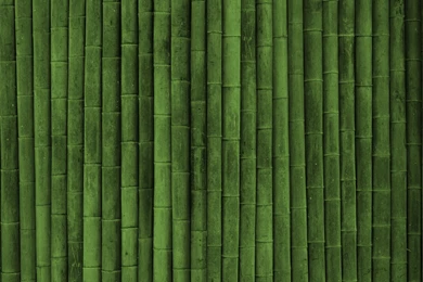 Full HD Wallpapers + Nature, Backgrounds, Bamboos, Green