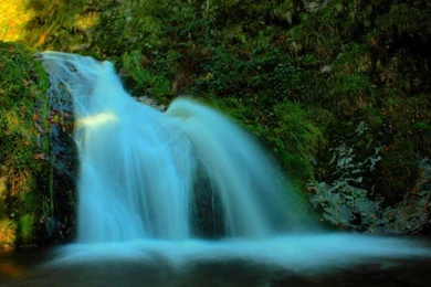 Beautiful Waterfalls Free Wallpapers Forest Falls 980×574 ...