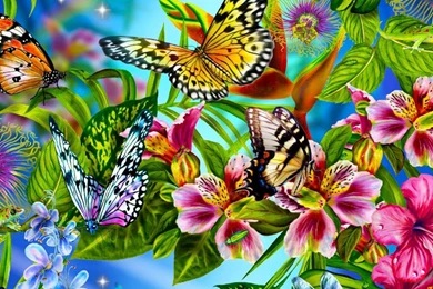 Beautiful Butterfly Wallpapers 1024x768.jpg