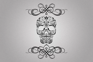 Download 2560x1600 Symmetrical Skull Wallpapers