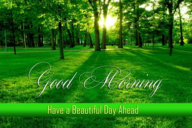 Best Good Morning HD Wallpapers