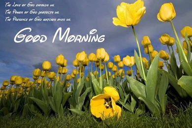 Good Morning Wallpapers HD Images – HD Wallpapers For Morning ...