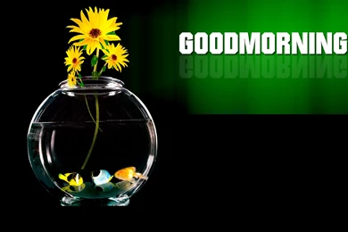 Good Morning Quotes Hd Wallpapers