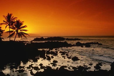 Trololo Blogg: Wallpapers Oahu