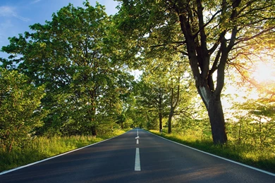 Spring In Road Wallpaper Backgrounds