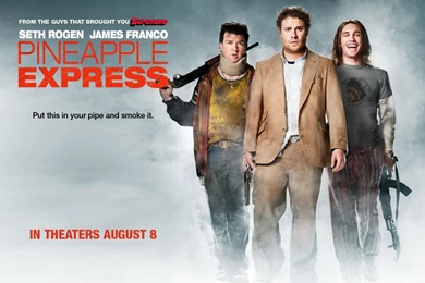 Seth Rogen   Seth Rogen In Pineapple Express Wallpapers 1 800x600