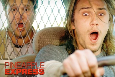 James Franco   James Franco In Pineapple Express Wallpapers 4 800x600