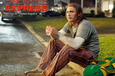 Pineapple Express   Pineapple Express Wallpapers (2012081)   Fanpop
