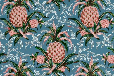 Pineapple Wallpapers At Barneby Gates (houseandgarden.co.uk)