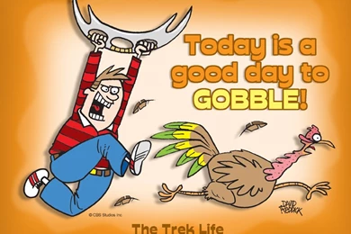 Funny Thanksgiving Wallpapers