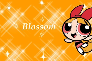 Powerpuff Girls Blossom Wallpapers