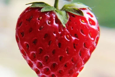 Lovely Valentine's Day Wallpapers For Android Smartphones – Be In Love