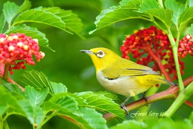 Most Beautiful Wallpapers For Mobile   All Wallpapers New