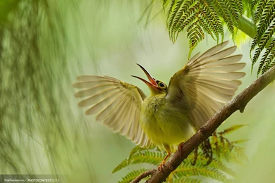 Most Beautiful Pictures Of Nature In The World Wallpapers HD With ...