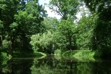 Most Beautiful Pictures Of Nature In The World Wallpapers High ...